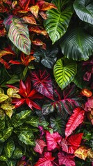 Obraz premium Vibrant Lush Botanical Garden Scene with Colorful Leaves and Foliage