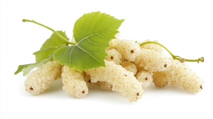 Fresh white mulberries with green leaves arranged artistically on a white background, ideal for culinary use