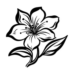Elegant black and white floral illustration, perfect for botanical designs and decorative elements.