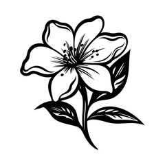 Elegant black and white floral illustration, perfect for botanical designs and decorative elements.