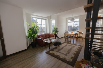 Woman working using laptop from home 