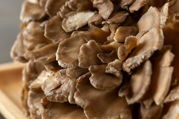 A closeup view of a maitake mushroom.