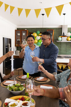 Senior diverse friends toasting with wine at home, celebrating joyful gathering together