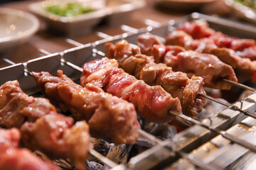 Chinese food. Grilled lamb skewers.