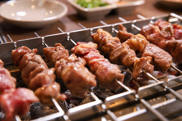 Chinese food. Grilled lamb skewers.