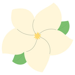 Frangipani flower hand drawn 