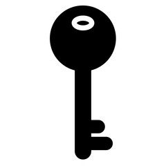 Smart Key Door Glyph Icon