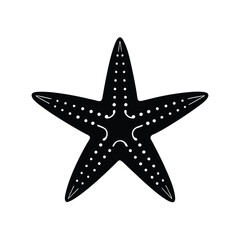 christmas star on a white background