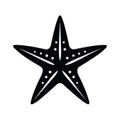 christmas star on a white background