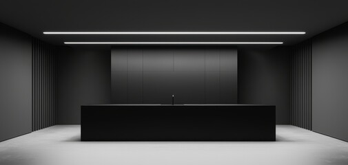 Elegant black kitchen featuring a monochrome aesthetic, with seamless matte cabinets, under-cabinet LED lighting, and a sophisticated black countertop