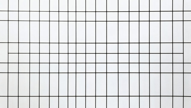 Abstract White Grid Pattern with Intersecting Lines Forming Squares in a Clean Minimalist Style