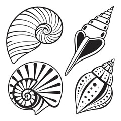 Spiral Seashell with Crescent Moon Patterns - Black and White Vector Illustration
