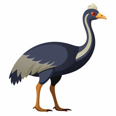 Obraz premium Ostrich cartoon isolated on white background