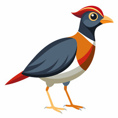 Vector illustration of a bird with feathers and beak on a white background