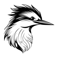 Fototapeta premium Detailed black and white illustration of a kingfisher head, perfect for graphic design and artistic projects.