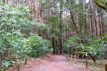 牛久自然観察の森