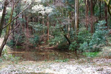 牛久自然観察の森