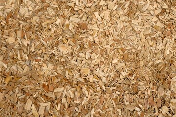 背景用素材 ウッドチップ