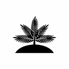  creative details Shadow of a Palm Tree on Sand Icon vector illustration