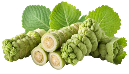 Authentic Fresh Wasabi Root Isolated on Transparent Background – High-Quality PNG Spice Illustration