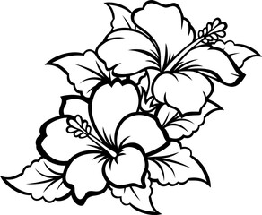 black and white hibiscus flower isolated