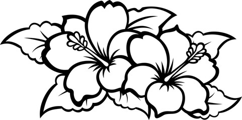 black and white hibiscus flower isolated