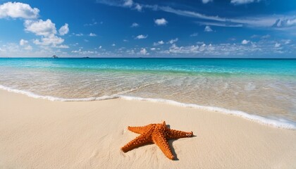 starfish on sandy seashore with mild waves and clear turquoise water beneath a blue sky with scattered clouds