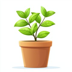 Green Leafy Plant Growing in a Simple Terracotta Pot on a Light Background