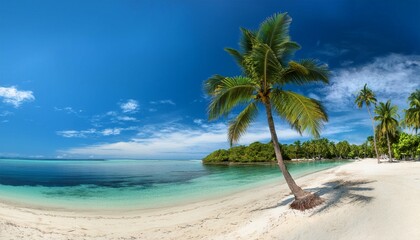beautiful tropical island with palm trees and beach panorama as