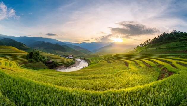 banner rice terrace field green agriculture landscape ecosystem rice paddy field vietnam farm brook banner golden green rice terraces in tropical sustainable natural sunrise with copy space