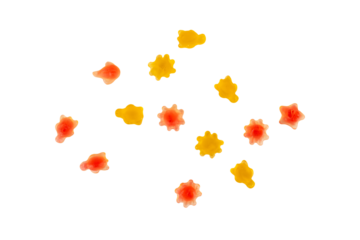 Assorted gummy candies, Juicy colorful jelly sweets. Gummy candies on transparent background