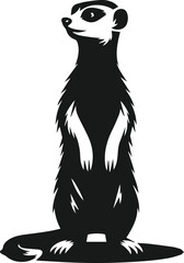 black and white meerkat