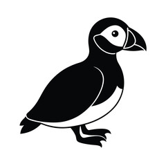 vector illustration of a cartoon bird