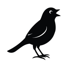 Obraz premium vector illustration of a bird