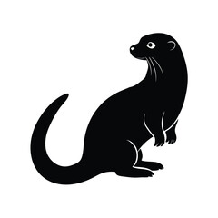 Fototapeta premium sea lion vector illustration