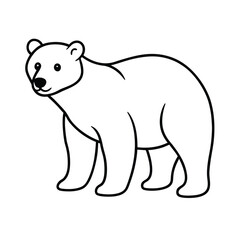 Fototapeta premium bear vector illustration