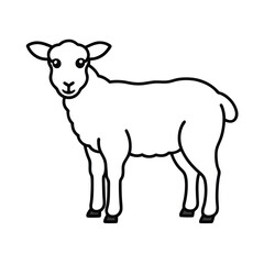 vector illustration of sheep