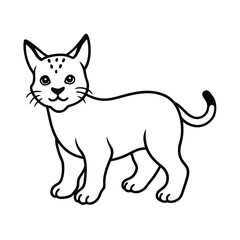 Cat collection vector illustration
