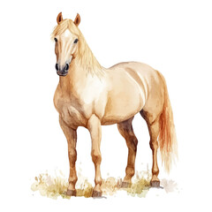 A watercolor realistic, clean, and simple clipart of a beige horse on a white background
