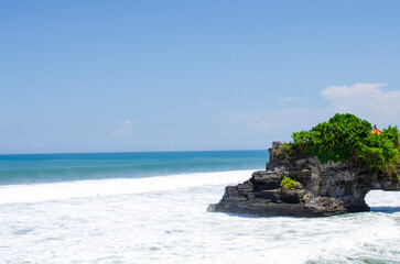 tropical beach with palm tree