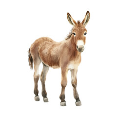 Fototapeta premium A cute cartoon donkey, watercolor clip art isolated on a white background