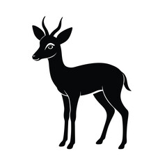 Fototapeta premium silhouette of a deer