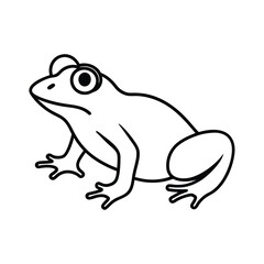 frog on a white background