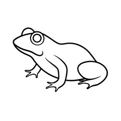 frog vector illustration