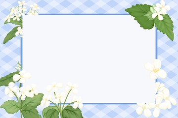 Garlic Mustard flower on Simple background