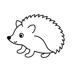 hedgehog vector illustration