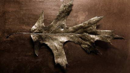 Dry oak leaf on a brown background. Autumn concept. Toned.