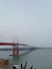 Fototapeta premium Golden Gate Bridge (San Francisco)