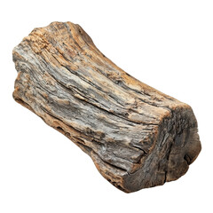 Driftwood isolated on transparent background