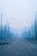 Naklejka premium deserted debris-littered street under dramatic smoky sky following fierce and recent wildfire